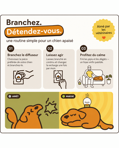 Douvie™ — Diffuseur apaisant pour chien