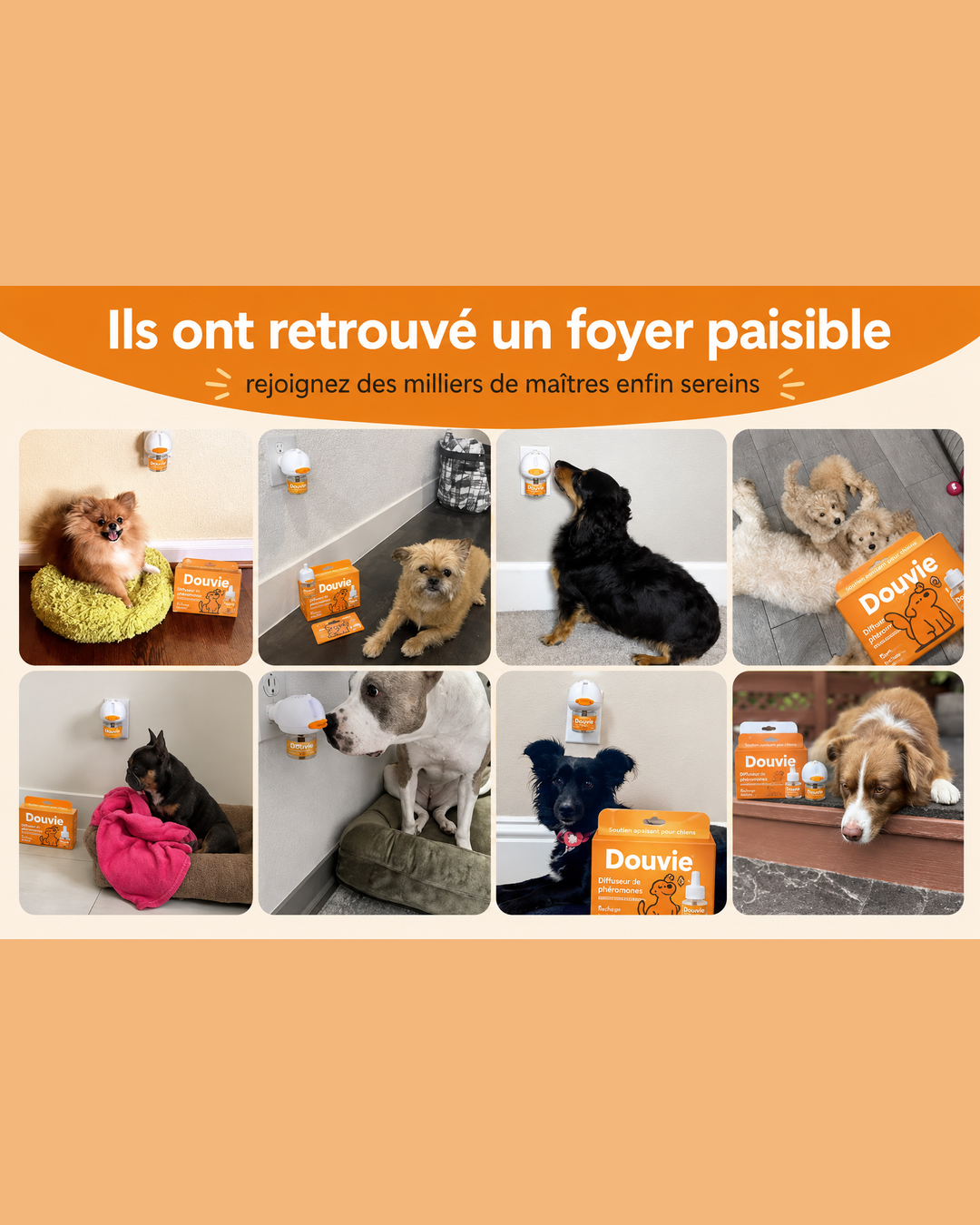 Douvie™ — Diffuseur apaisant pour chien